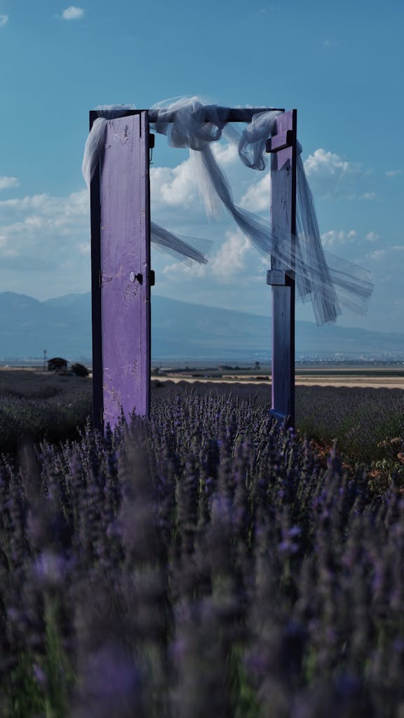 A surreal purple door stands in a lavender field, draped with tulle under a sunny sky.
