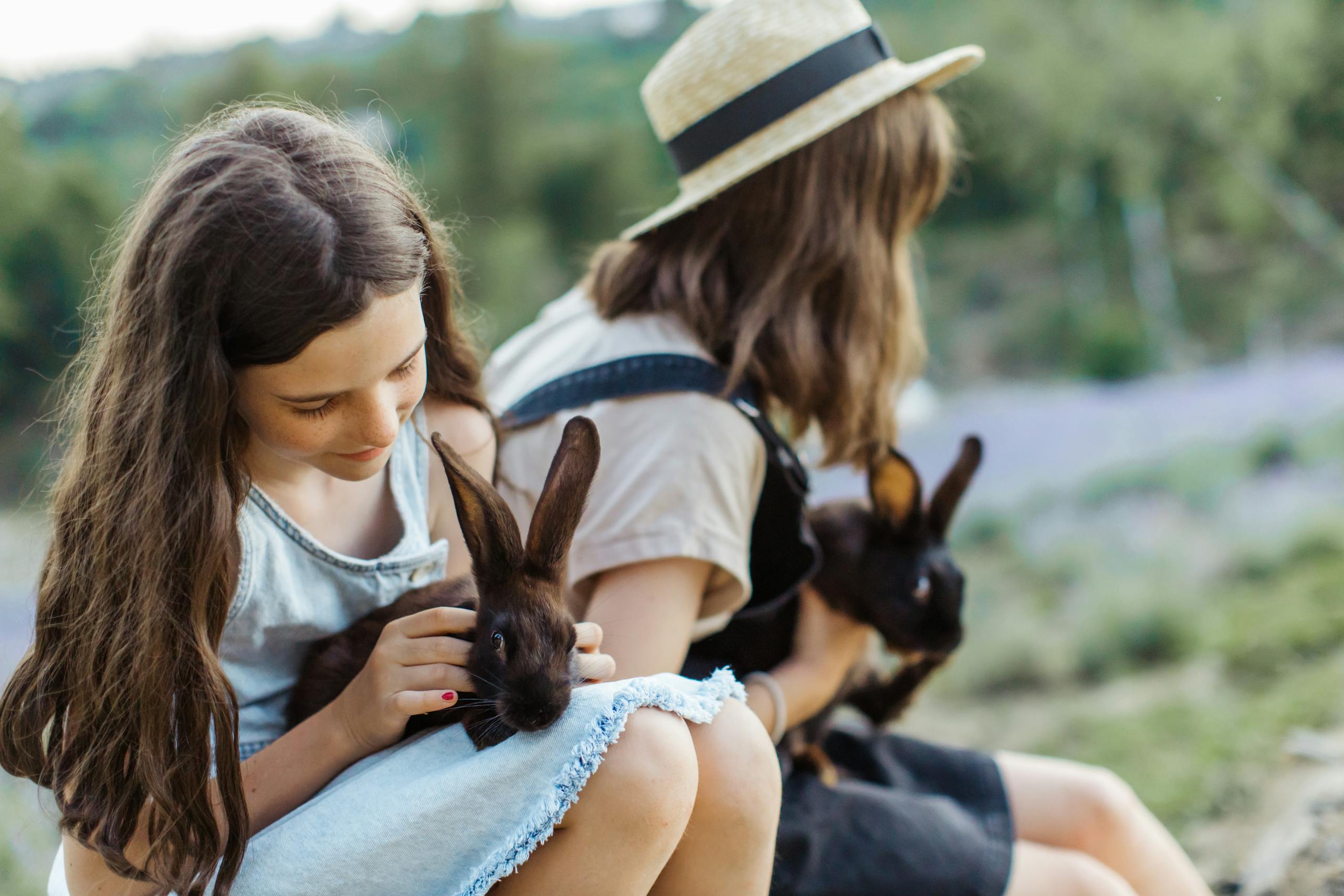Two young girls enjoying outdoor time with pet rabbits. A serene moment captured.