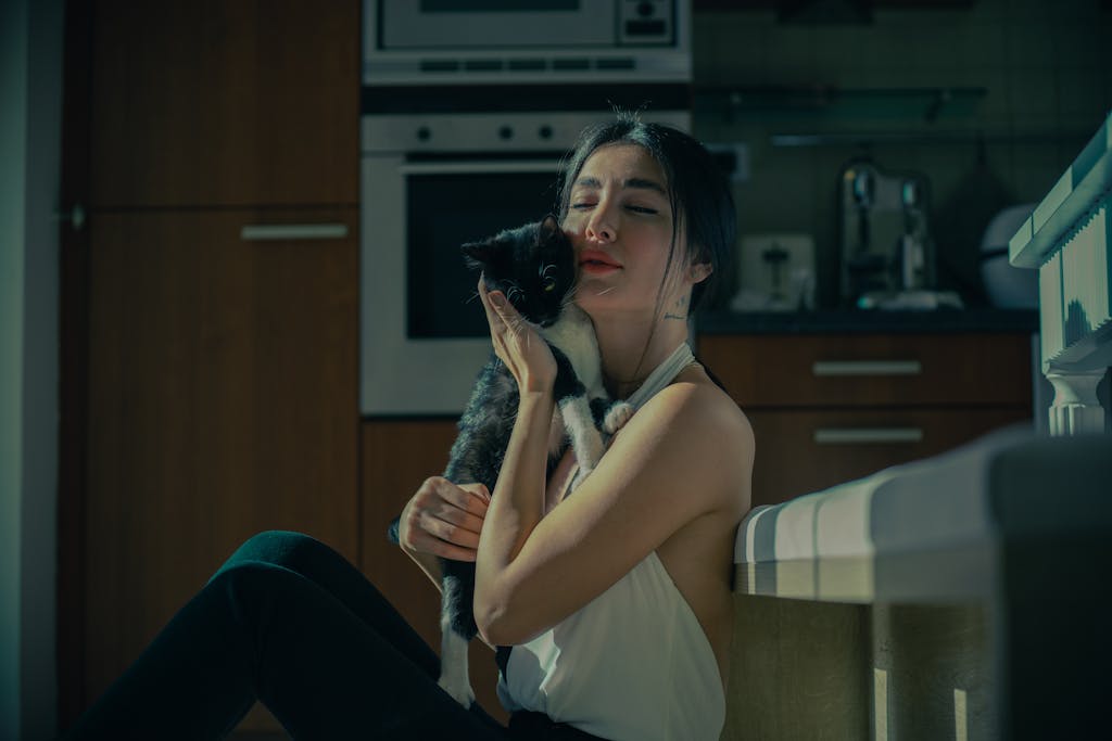 biztonságos benti macskatartás